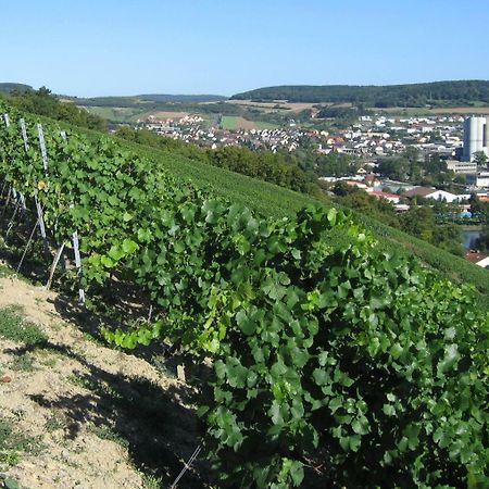 Weinstube Schwalbennest Ξενοδοχείο Karlstadt Εξωτερικό φωτογραφία