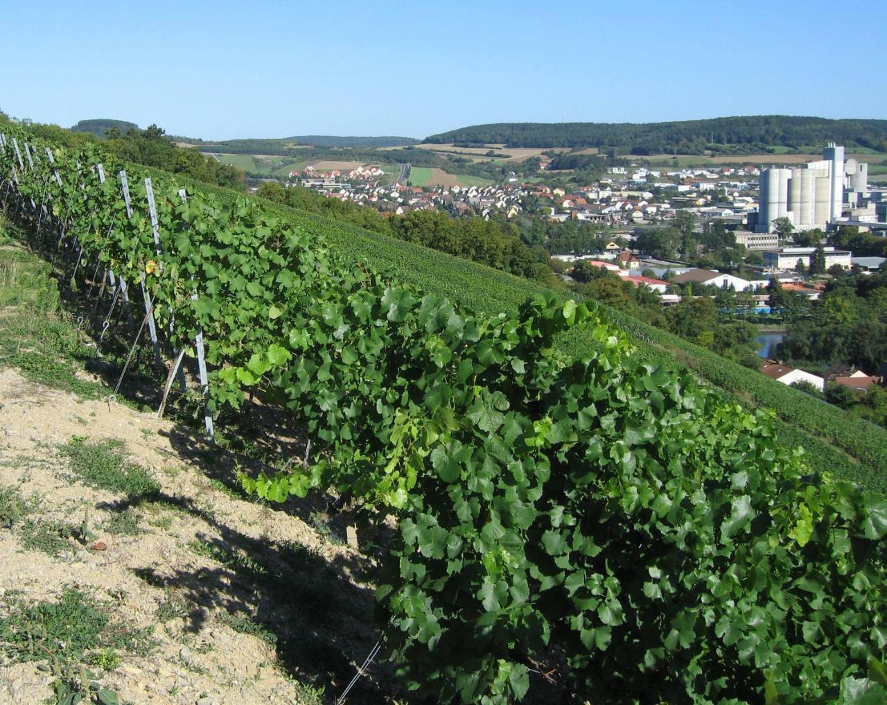 Weinstube Schwalbennest Ξενοδοχείο Karlstadt Εξωτερικό φωτογραφία