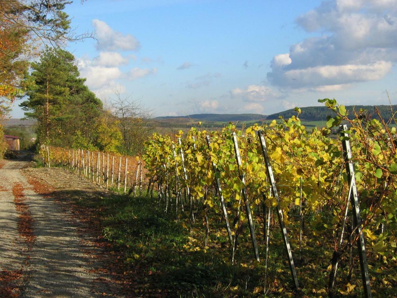 Weinstube Schwalbennest Ξενοδοχείο Karlstadt Εξωτερικό φωτογραφία